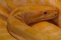 Zoo Schmiding 023